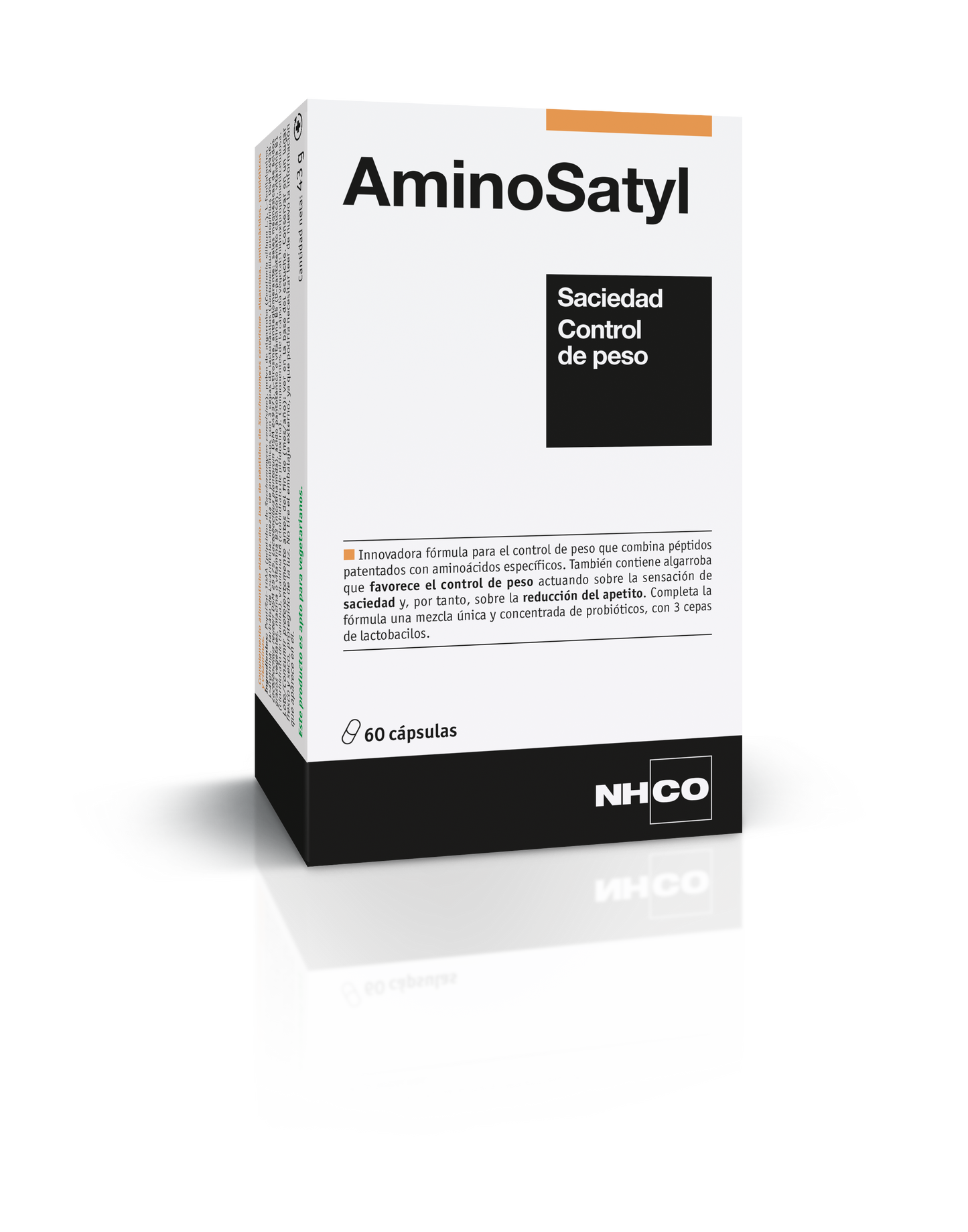 AminoSatyl NHCO